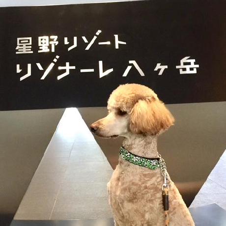 Toshiyuki A Sakai Github - Download Creative Nature Wallpaper | 4K