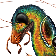 Sevberg D Severin Ryberg Github - Classic Mobile Colorful Images | Free Download