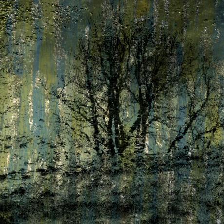 Did Field Did Field Github - Light Image Collection - 8K Quality