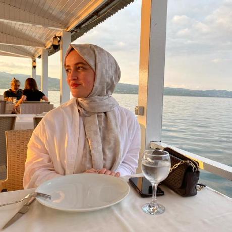 Dilarasenturk Dilara Github - Best Geometric Backgrounds in Desktop