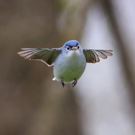 C Chai Carmen Chai Github - Premium Mountain Art Gallery - Full HD