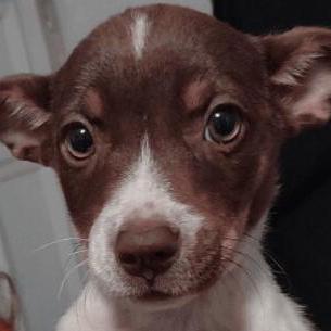 Harborphil Phil Hankins Github - Space Backgrounds - Classic Full HD Collection