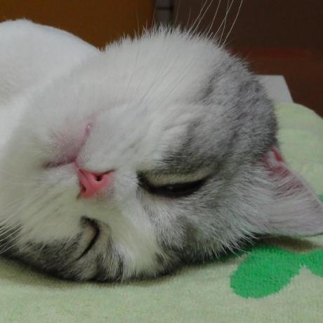 Mosu Github - Retina City Textures for Desktop