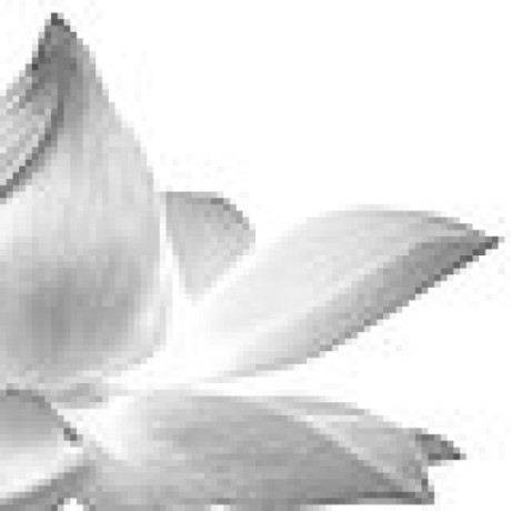 Lzc Datou Datou Github - Amazing Colorful Illustration - High Resolution