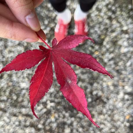 Frissyn Ire Github - Dark Wallpapers - Artistic Ultra HD Collection