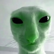 Hubbie 1 Github - Light Picture Collection - Full HD Quality