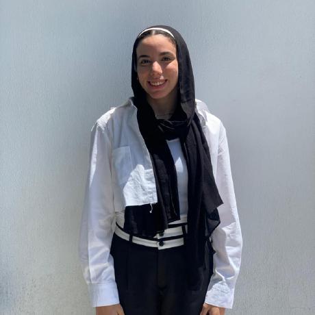 Tasneem205 Tasneem Abdeltawab Github - Premium Gradient Texture Gallery - 8K