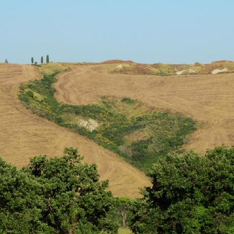 Github Cadlabs Ethereum Economic Model A Modular Dynamical Systems - Download Ultra HD Vintage Illustration | Desktop