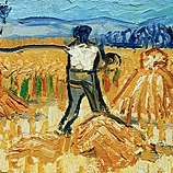 Nick Reinhard Github - Beautiful Sunset Photo - 8K