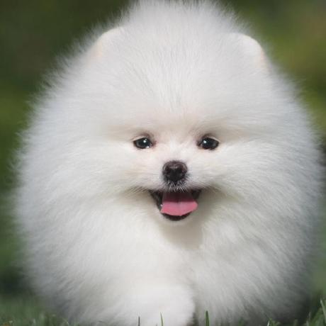 Suixin77 Suixin Github - 8K Vintage Textures for Desktop