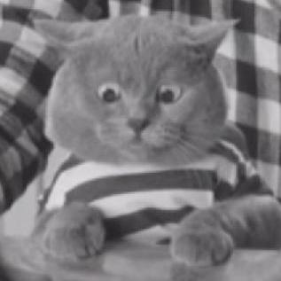 Victor Weng Victor Weng Github - Best Ocean Illustrations in Ultra HD