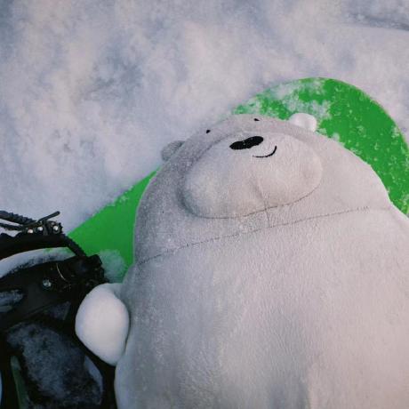 Investor Acumen Github - Colorful Patterns - Premium HD Collection