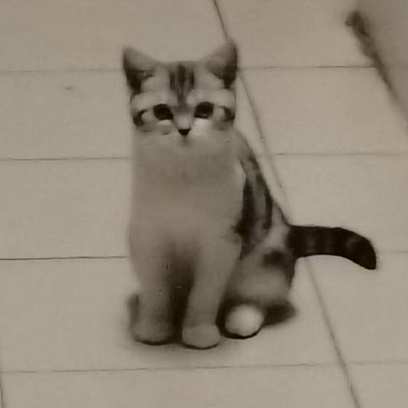 Github Henry Avery Shu Autoselection - 8K Colorful Pictures for Desktop