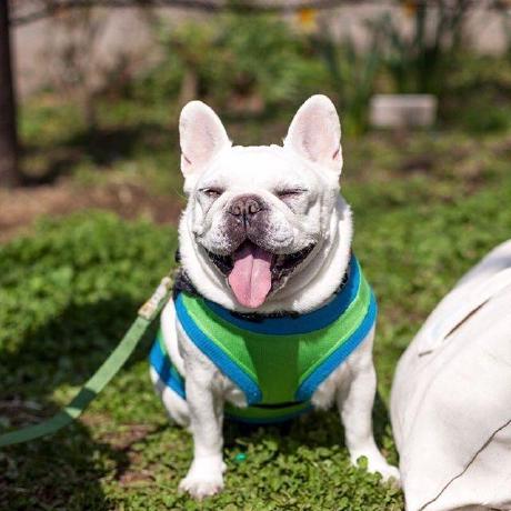 Js Hiroyuki Yoshida Github - Creative Vintage Design - Full HD