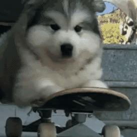 Root 277 Github - Geometric Textures - Modern HD Collection