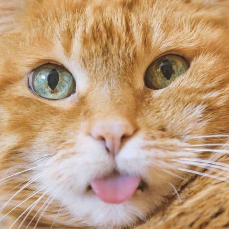 Soe Sandar Kyi Github - Gradient Illustrations - Beautiful 4K Collection