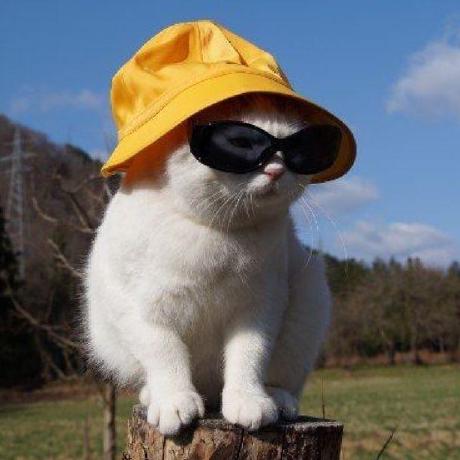 Marcusyeoyh Marcus Yeo Github - Download Gorgeous Landscape Design | 4K