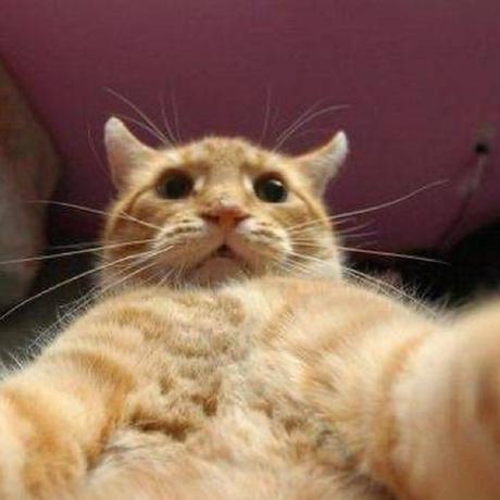 Arindom Das Arindom Das Github - Download Modern Space Photo | Mobile