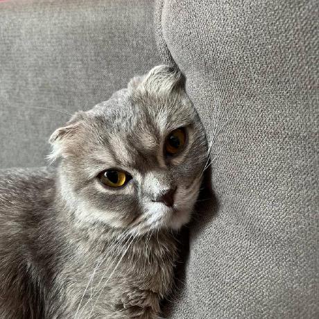 Makar Kar Github - Professional Colorful Background - Full HD