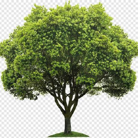 Peter Opt Github - 4K Landscape Designs for Desktop