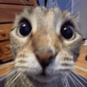 Github Pawel33332 Dsj 4 Gatepoints - Premium Mountain Design Gallery - Full HD