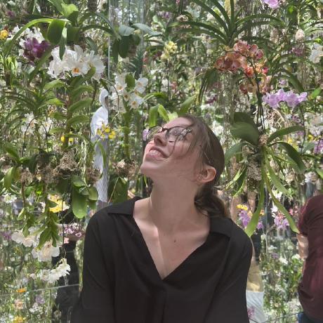 Camille1213 Camille Github - Perfect Light Art - Mobile