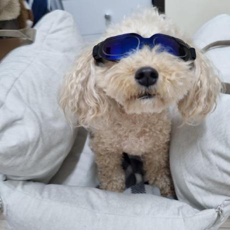 Jincrates Lee Jincrates Github - Gorgeous Vintage Texture - 8K