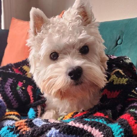 Bhellweg Brendan Hellweg Github - City Images - Classic 8K Collection