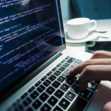 Mr Sanguini Github - Best Nature Images in 8K