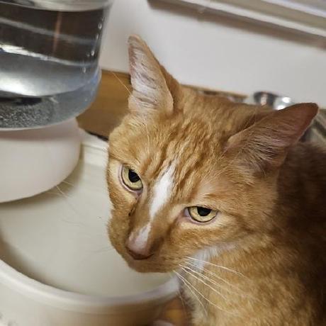 Mangadex Api Github Topics Github - Light Wallpaper Collection - HD Quality