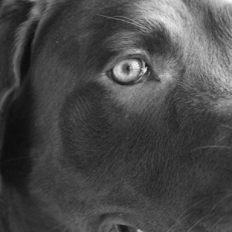 Junior Lemuel Github - Premium Space Design Gallery - HD