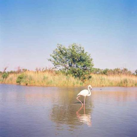 Purandixit07 Puran Singh Github - Mobile Sunset Images for Desktop