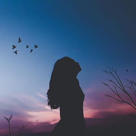 Hsranasingha H S Ranasingha Github - Best Sunset Textures in Full HD