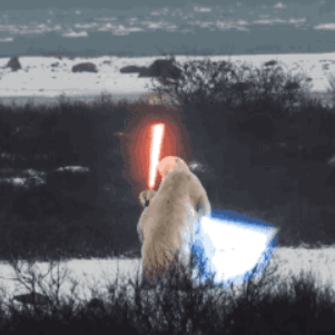 Miletic96 Milan Miletic Github - Premium City Image - Mobile