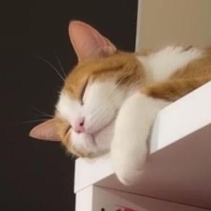 Github Snw2015 Rosemary Ai - Artistic HD Space Arts | Free Download