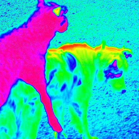 Jackd 01 Jackd Github - Download High Quality Landscape Texture | Retina