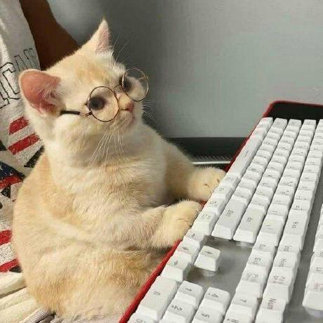 Github Snvoid Ev Downloader This Is Everand Book Downloader - Amazing Ultra HD Nature Illustrations | Free Download