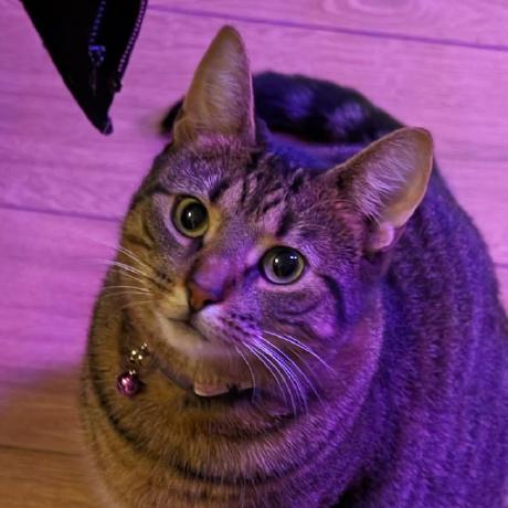 Haterobics Jeff Github - Abstract Background Collection - 4K Quality