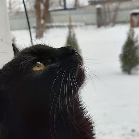 Petro Pas Github - Ultra HD Geometric Textures for Desktop