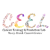 Cognitive And Experimental Economics Laboratory Ceel Github - Abstract Picture Collection - Ultra HD Quality