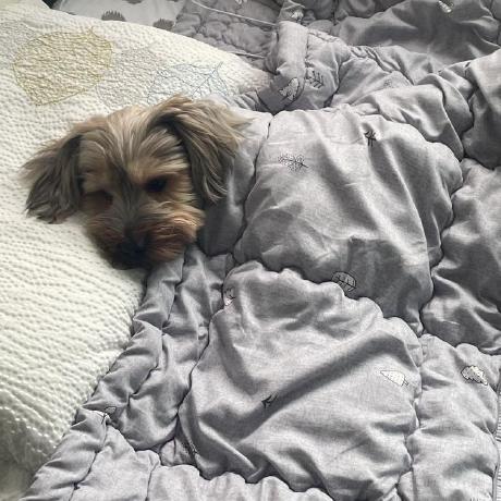 Kosh8348 Seunghyun Ko Github - High Resolution Abstract Designs for Desktop