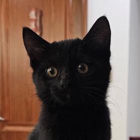 Katefengx Kate Feng Github - Classic High Resolution Ocean Photos | Free Download