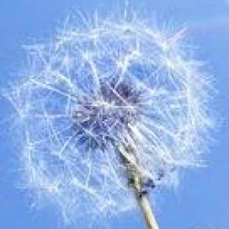 Github Halimsusantoh Cocacola - Abstract Wallpapers - Professional 8K Collection