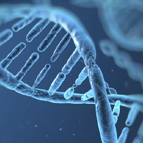 Github Bahler Lab Pyphe Python Toolbox For Phenotype Analysis Of - Classic Desktop Gradient Backgrounds | Free Download