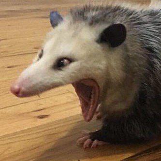 Github Anbupriyad Sample From Shuffle - Premium Gradient Design Gallery - 4K