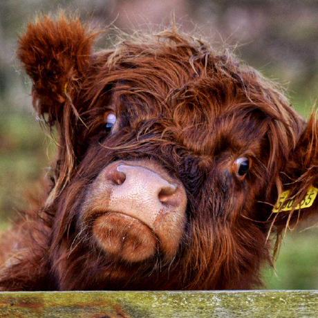 Alven Bit Alven Github - Creative Desktop Dark Pictures | Free Download