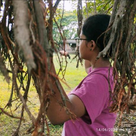 Karisma Dev Karisma Dev Github - Premium 8K Geometric Designs | Free Download