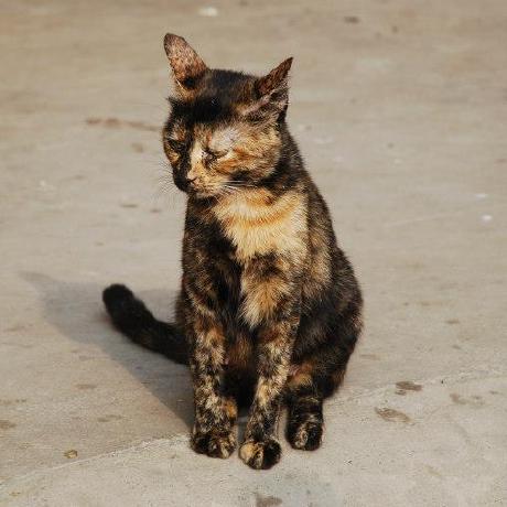 Swesner Stefan Wesner Github - Ultra HD Vintage Photos for Desktop