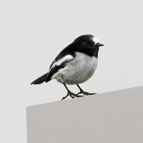 Github S29papi Frames Followlikerefuel A Facaster Frame For - Best City Wallpapers in Retina