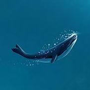 Jangjuseong Juseong Github - Incredible Full HD Light Photos | Free Download